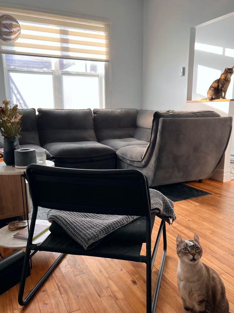 Customer Review 6