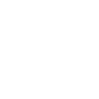 Custom Icon
