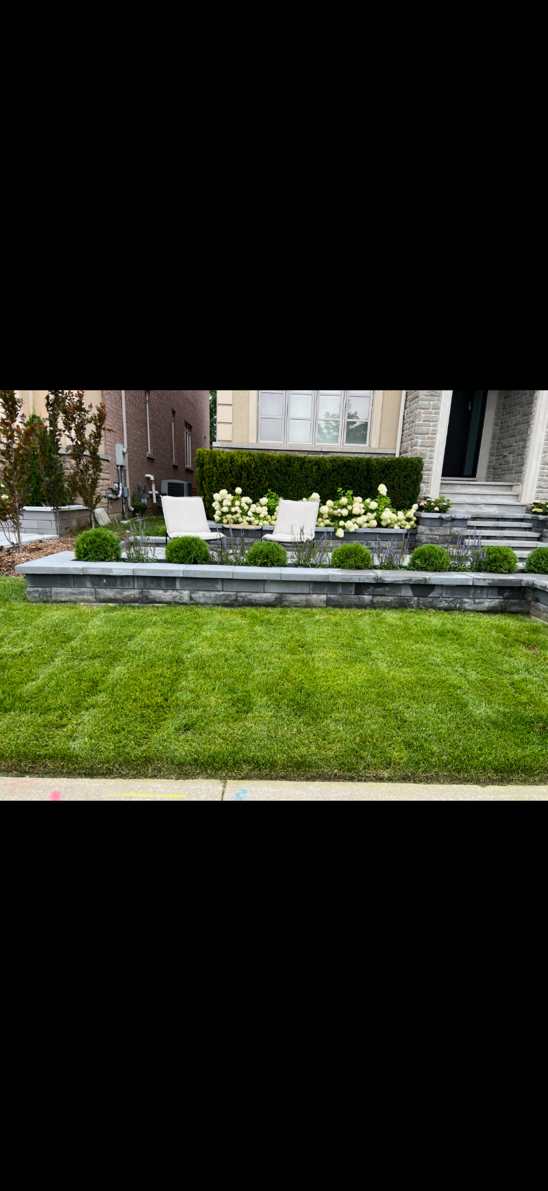 Emerald lawn restoration