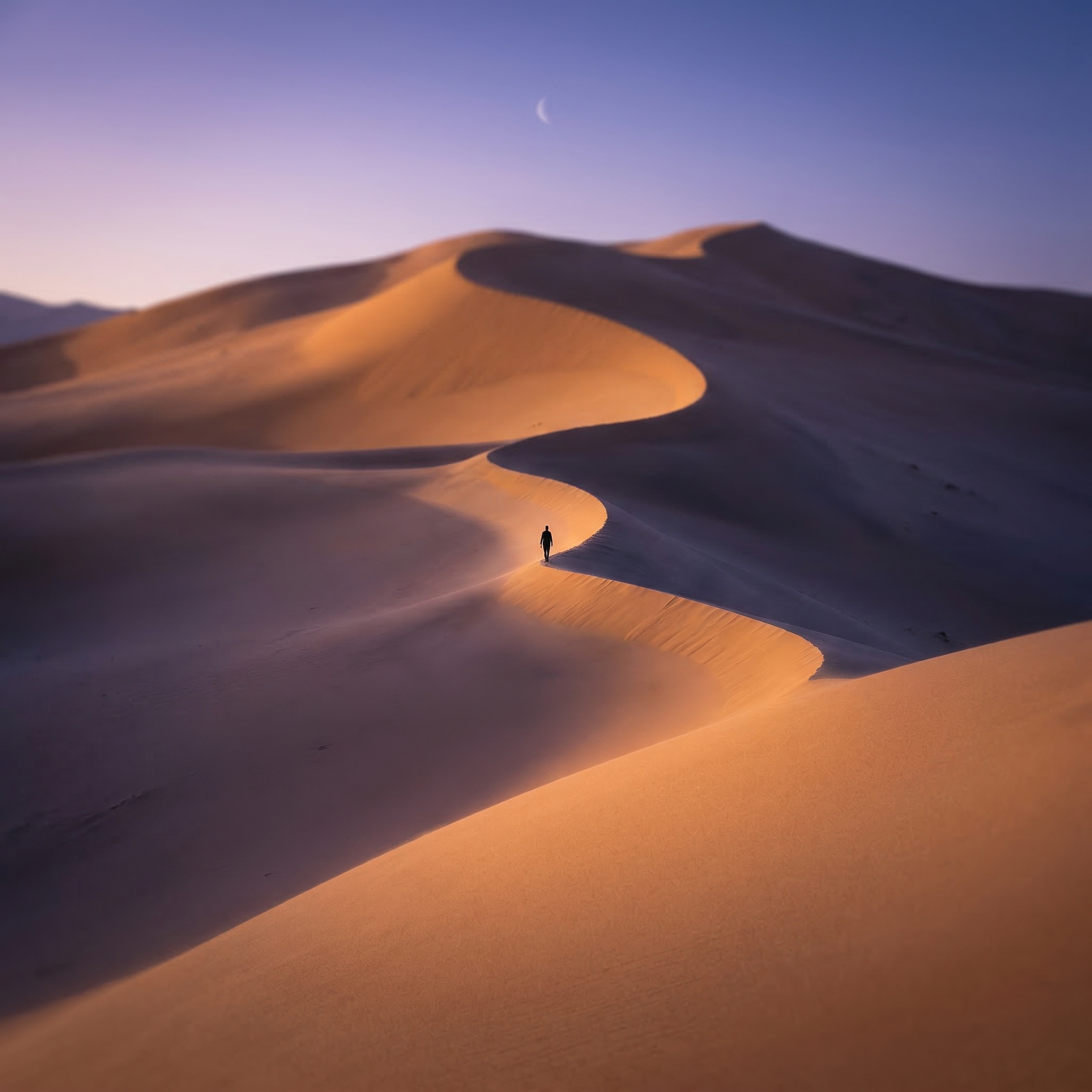 Lone Figure on Desert Dunes at Dusk