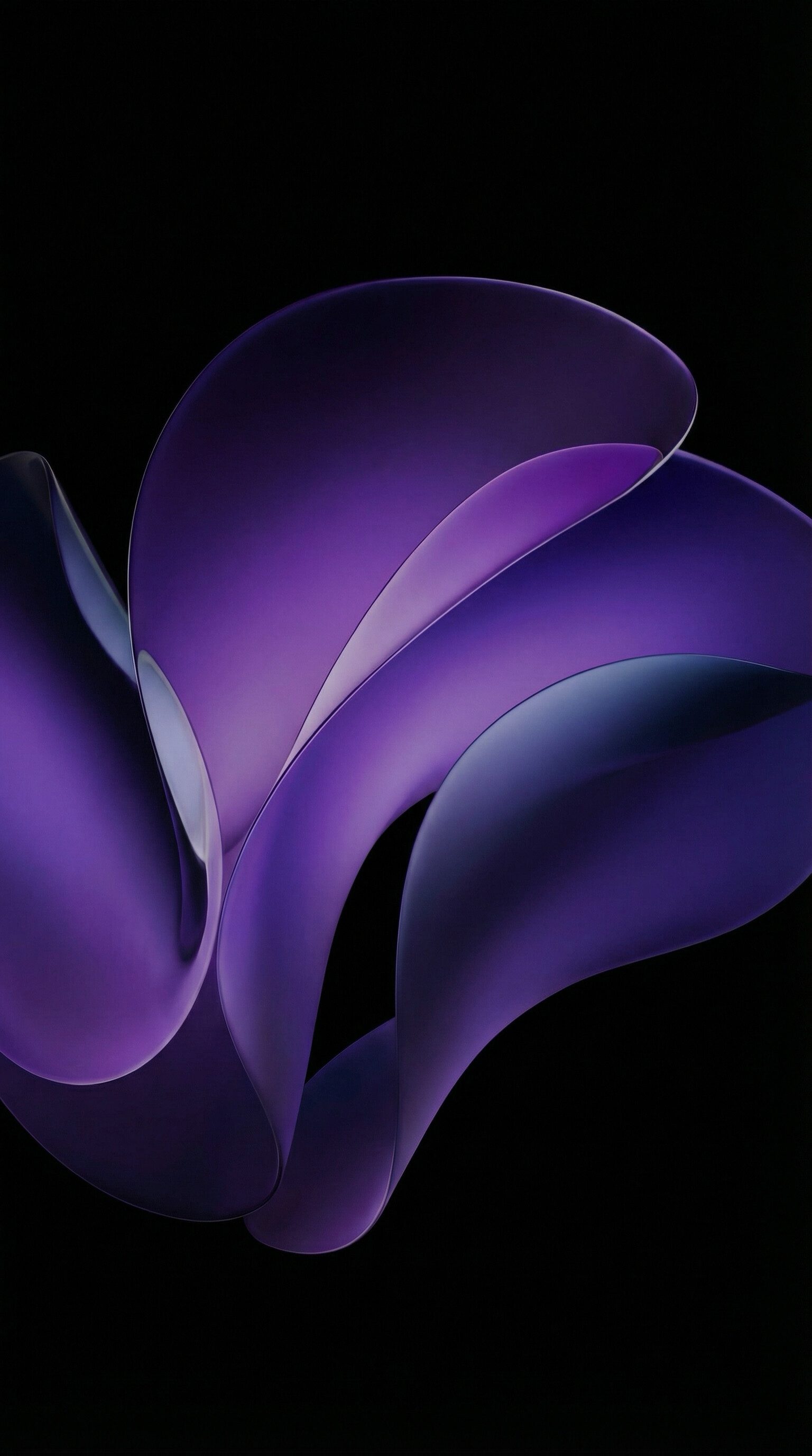 Abstract Purple Ribbon Shapes on Black