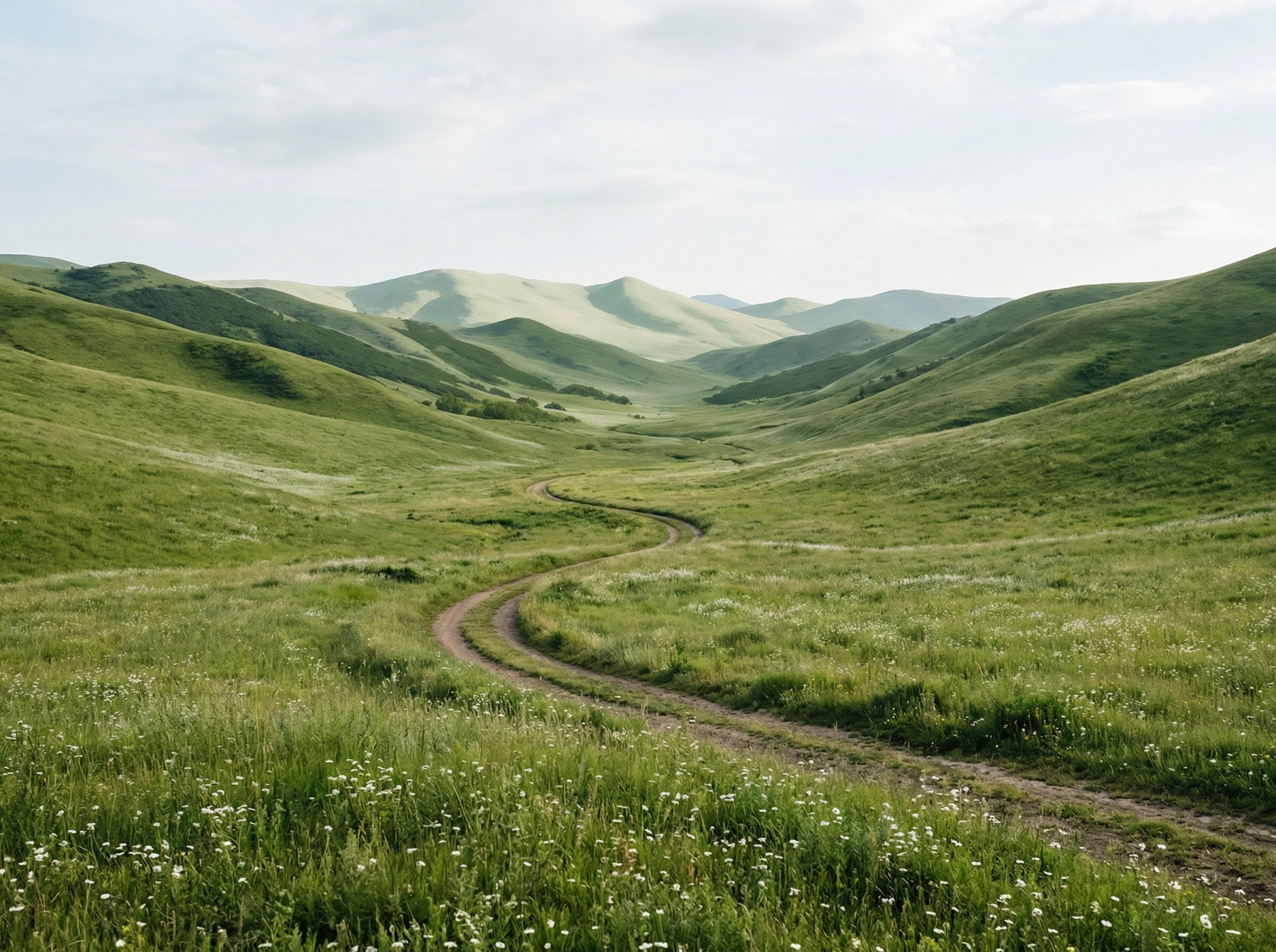 Winding Path Through Rolling Green Hills