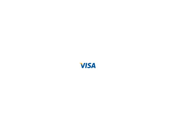 Visa Logo SVG