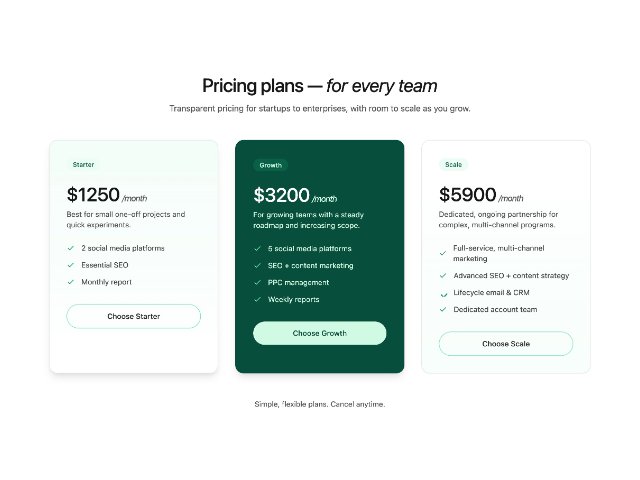 响应式 SaaS 产品方案对比定价表 网页组件预览图