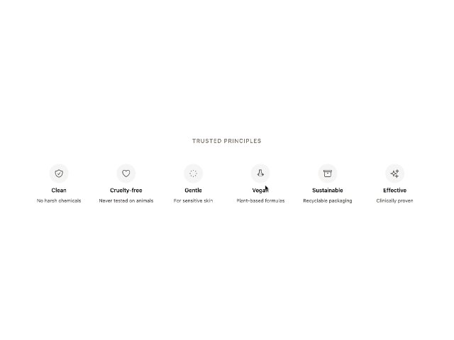 Trust Badges Grid with Icons