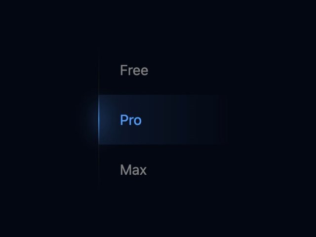 Segmented Radio Selector with Animated Glider