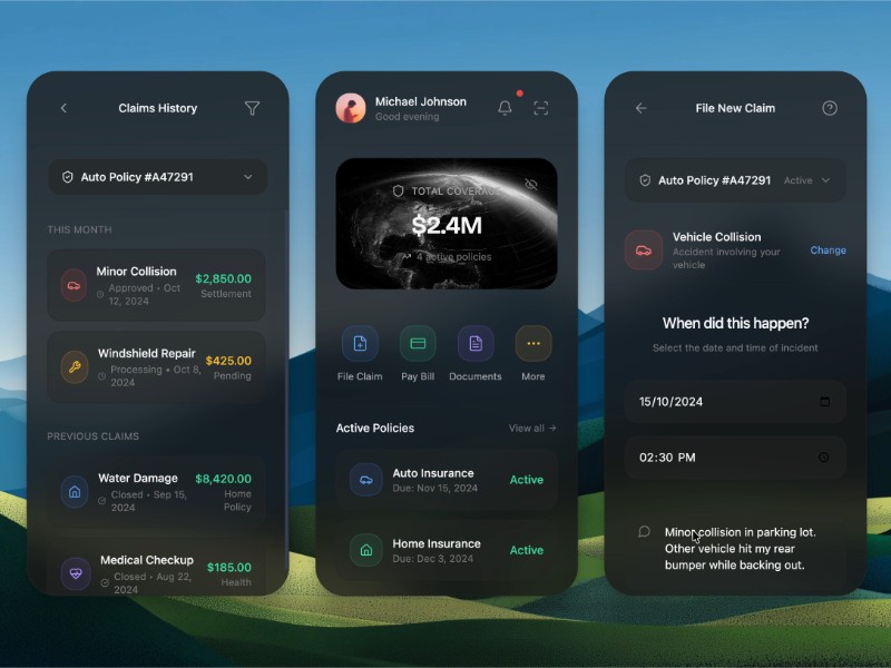 Preview for Insurance Claims History Interface