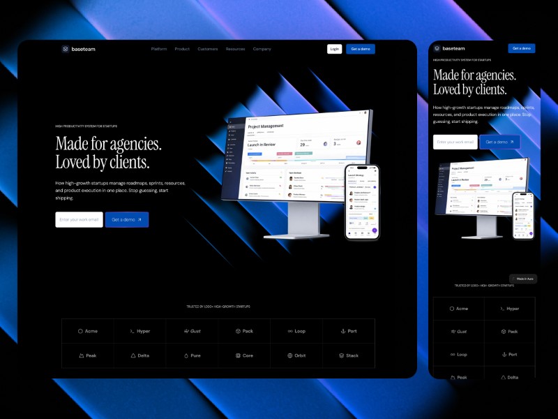 Preview for Project Management Tool Landing Page Template