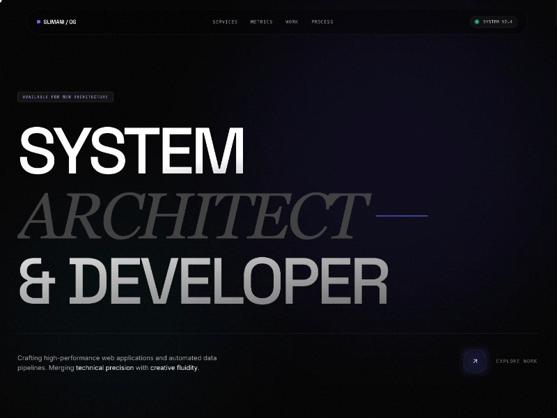 Preview for System Architect Developer Portfolio Template