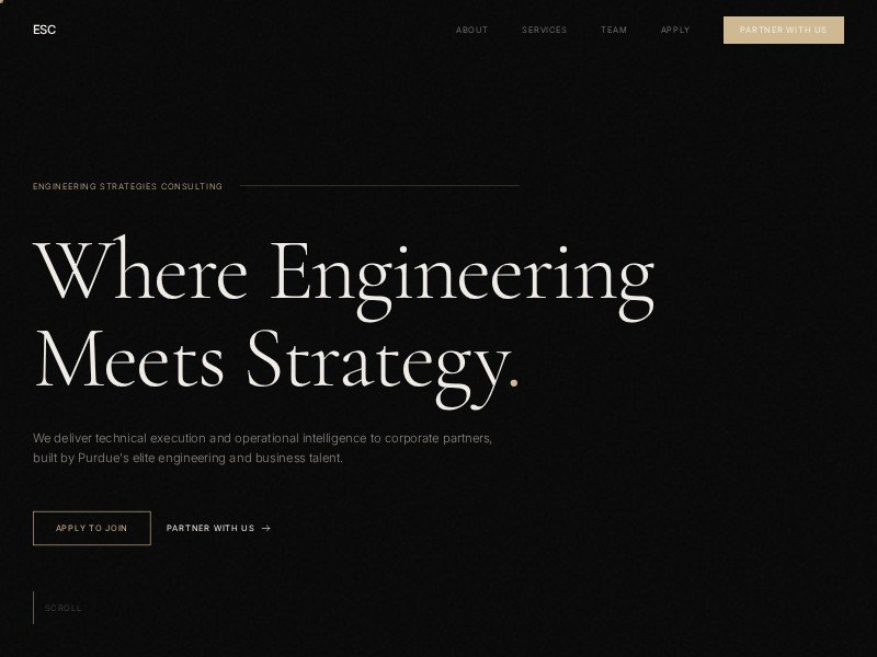 Preview for Student Consulting Club Landing Page Template