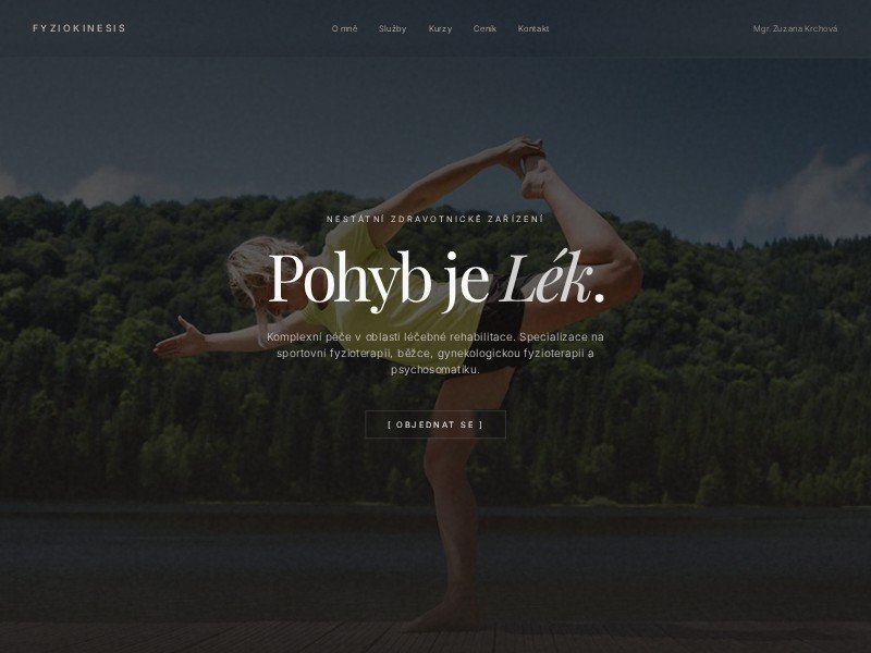 Preview for Physiotherapy Clinic Landing Page Template