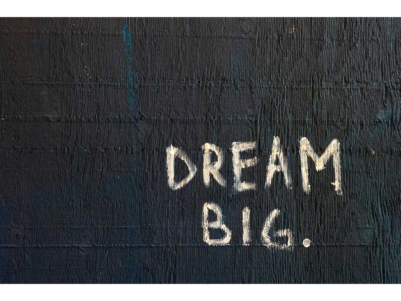 Preview for Institute of Excellence Growth Model Template