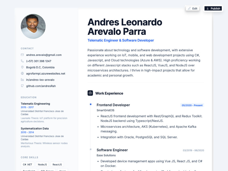 Preview for Modern Developer Resume Template