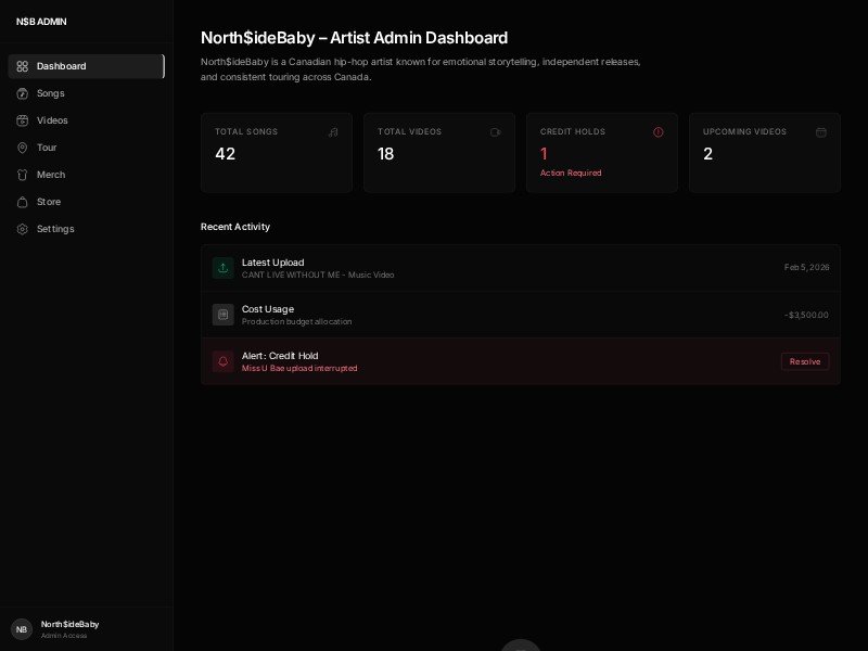 Preview for Music Artist Admin Dashboard Template