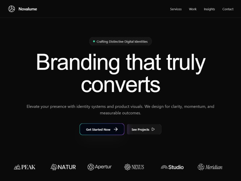 Preview for Brand Design Portfolio Template