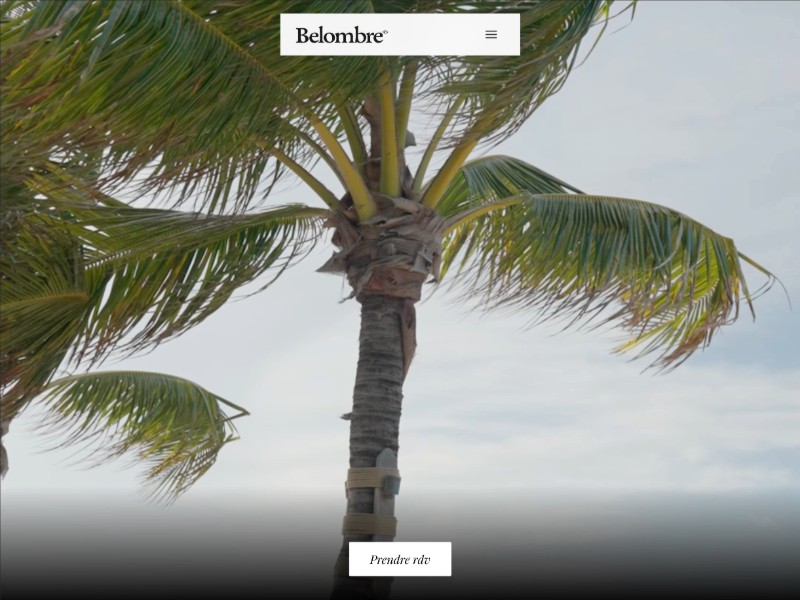 Preview for belombre