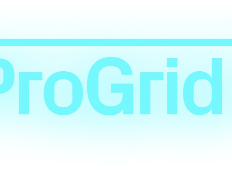 Preview for ProGrid B2B Racing Program Landing Page Template