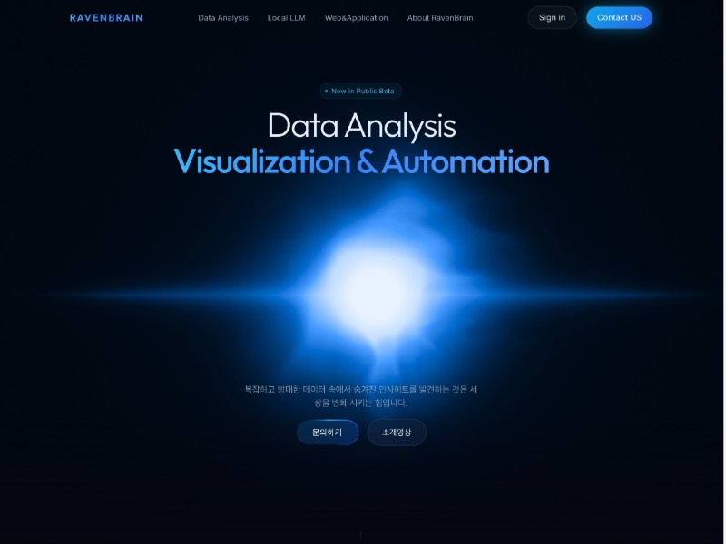 Preview for RAVEN BRAIN Data Analysis & Visualztion