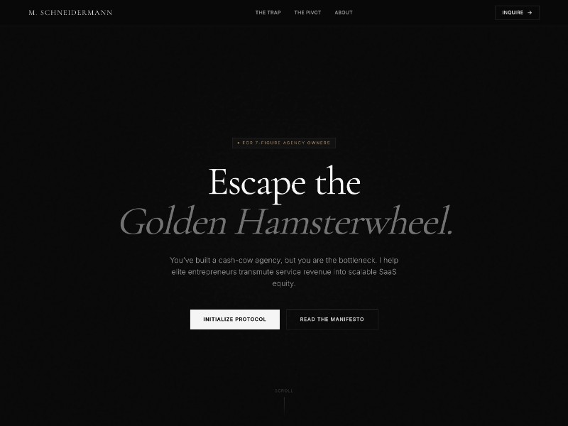 Preview for SaaS Consultant Portfolio Landing Page Template