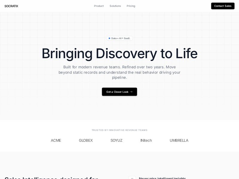 Preview for Sales Intelligence Landing Page Template