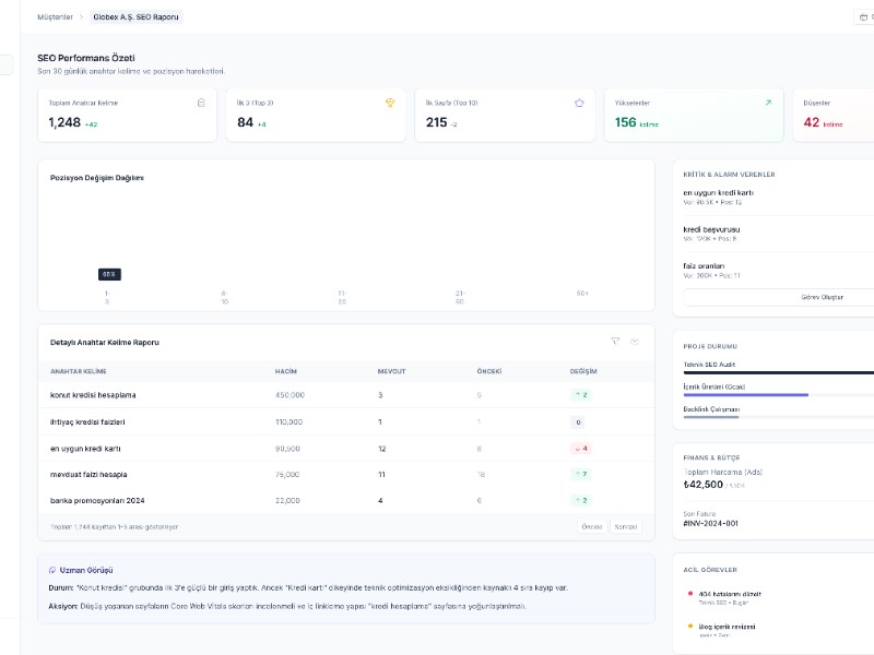 Preview for SEO Agency Analytics Dashboard Template