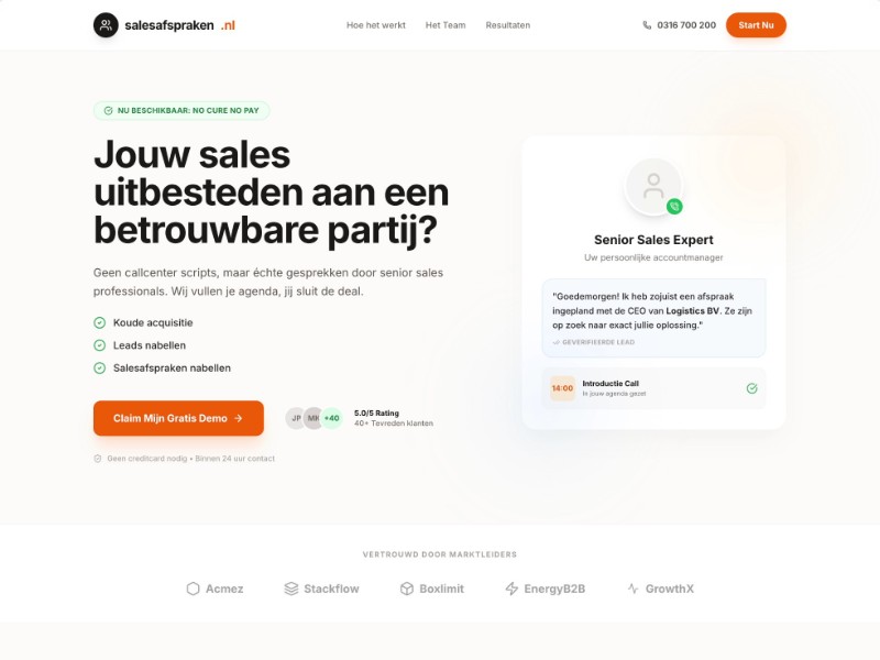 Preview for No Cure No Pay Lead Generation Landing Page Template