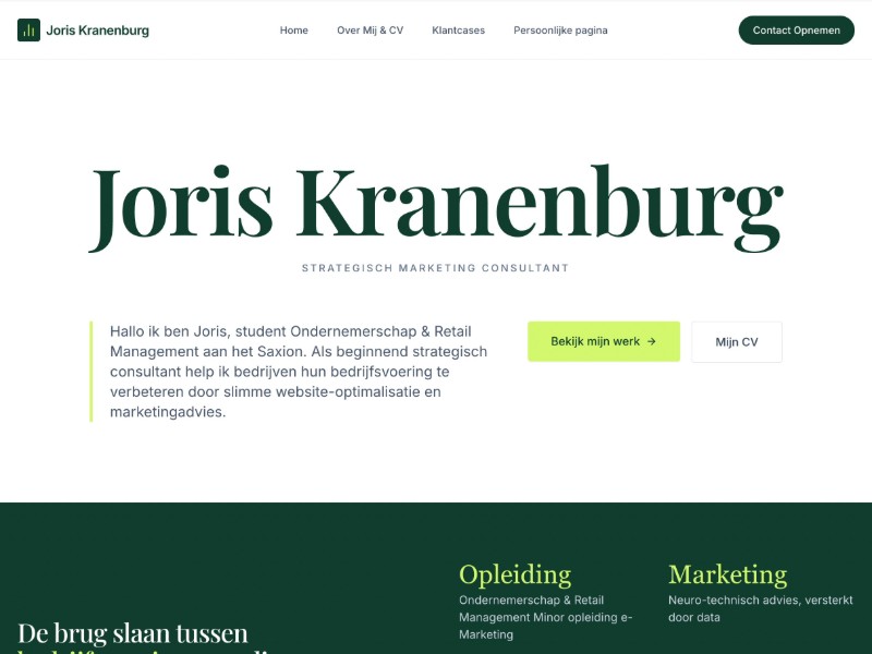 Preview for Marketing Consultant Portfolio Landing Page Template