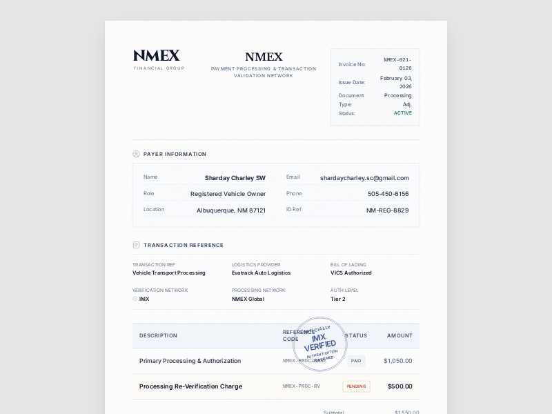 Preview for Financial Invoice Document Template