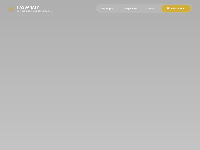 Preview for Humanitarian Charity Landing Page Template