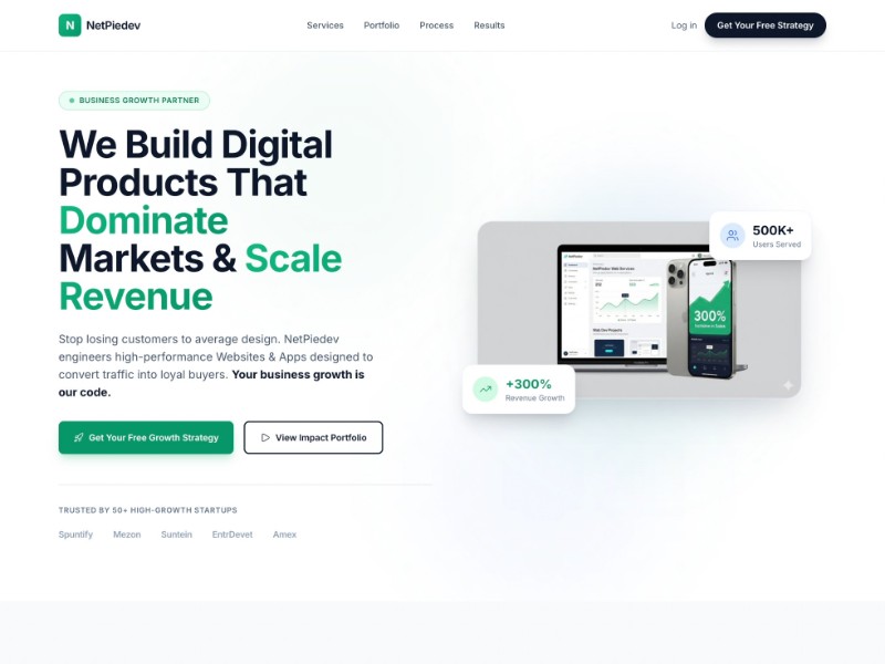Preview for netpiedev.in