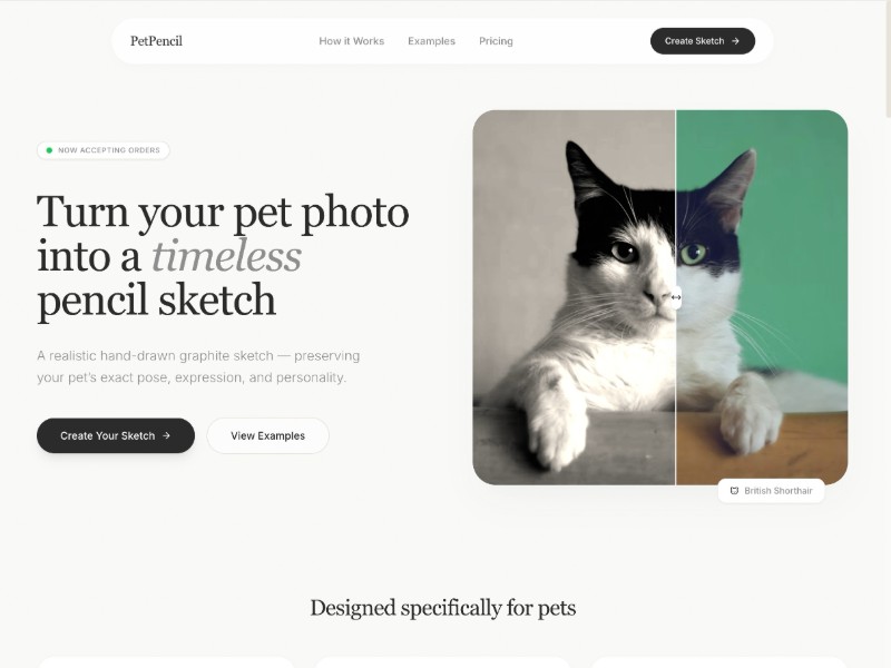 Preview for Pet Portrait Landing Page Template