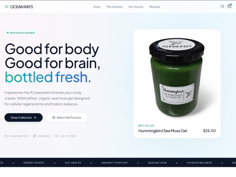 Preview for Sea Moss E-commerce Landing Page Template