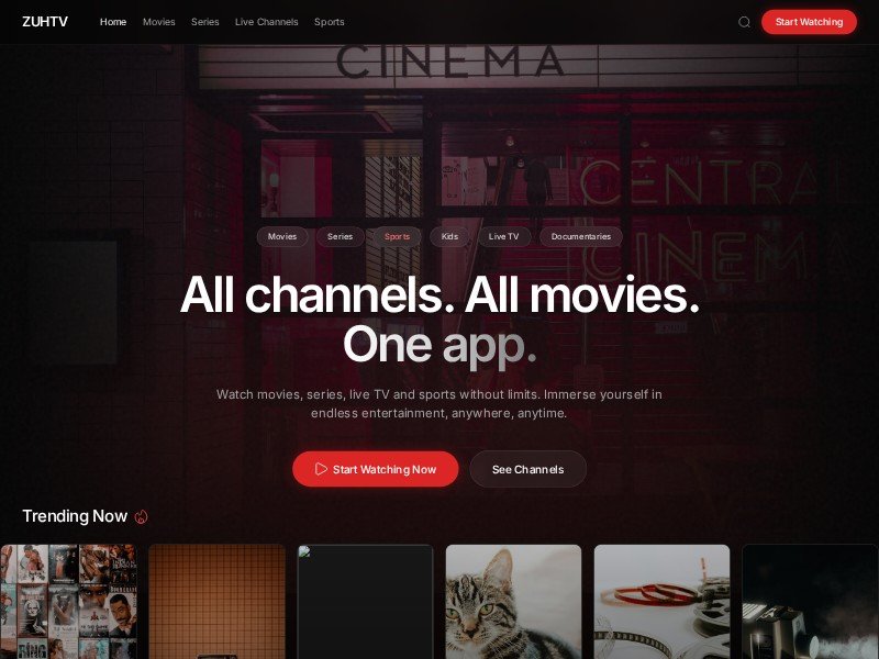 Preview for Streaming Service Landing Page Template
