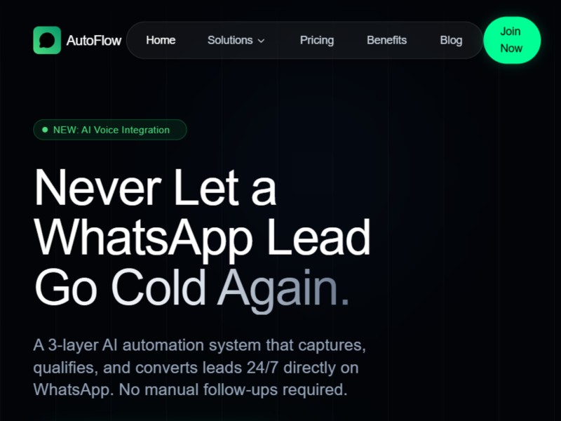 Preview for WhatsApp AI Automation Landing Page Template