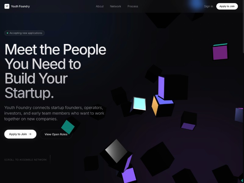 Preview for Startup Network Landing Page Template