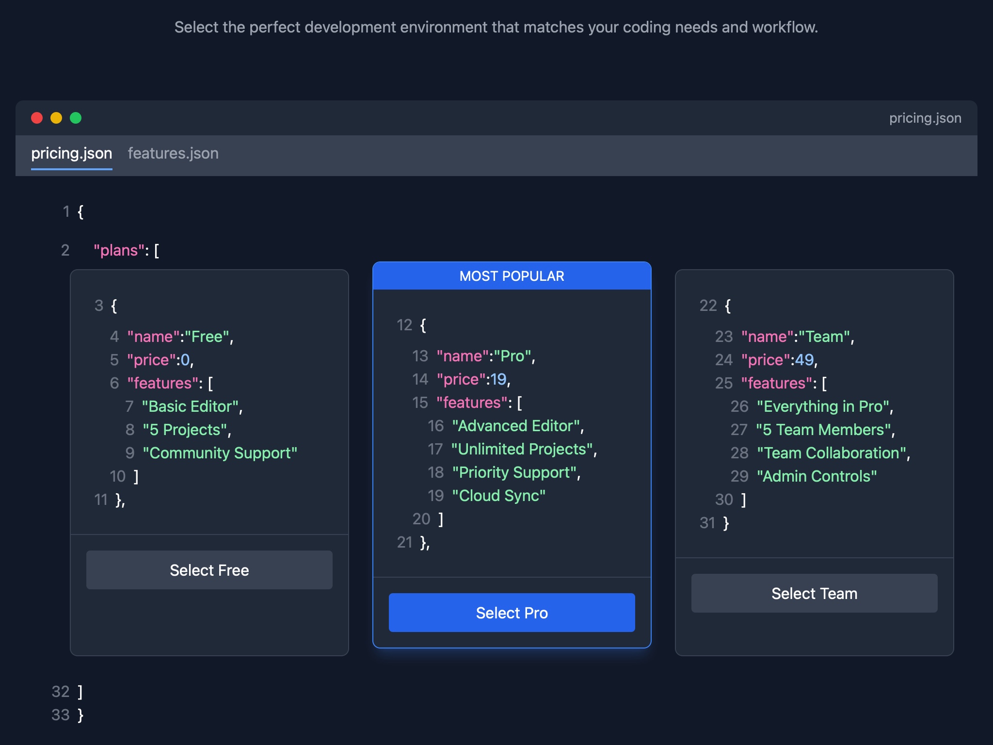Preview for Pricing Plans Display in Code Style